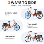 24" Electric Tricycle with Dual Battery and Basket