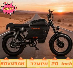 6000W Dual Motor Fat Tire E-Bike 37MPH