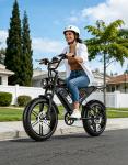 ASKGO 2500W 20" Fat Tire Electric Mountain Bike