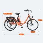 24" Electric Tricycle with Dual Battery and Basket