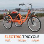 24" Electric Tricycle with Dual Battery and Basket