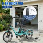 Electric Folding Tricycle with Removable Battery