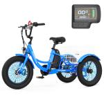 Mooncool 16" Fat Tire Electric Tricycle 250W