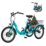 VIRIBUS 20" Folding Electric Trike with Battery