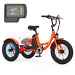 MOONCOOL 16-Inch 250W Electric Tricycle for Kids