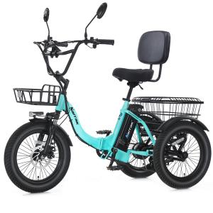 Narrak Folding Electric Fat Tire Trike 1100W