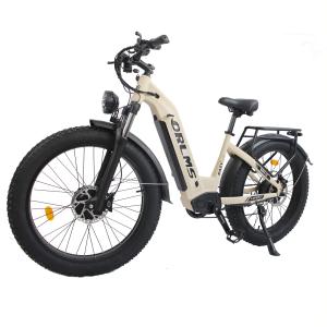 High-Power 3000W Dual Motor E-Mountain Bike