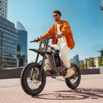 1500W 60V E-Motorbike Electric Mountain Bike