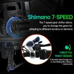 Narrak Folding Electric Fat Tire Trike 1100W