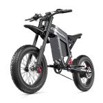 1500W 60V Electric Mountain Bike for Adults