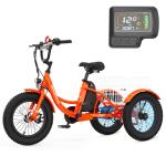 MOONCOOL 16-Inch 250W Electric Tricycle for Kids