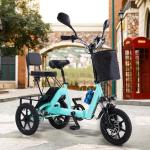 350W Adult Electric Folding Tricycle, 45-Mile Range