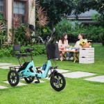 350W Adult Electric Folding Tricycle, 45-Mile Range