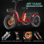 MOONCOOL 1100W Electric Fat Trike with Battery