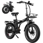 20" Folding Electric Fat Tire Bike - 750W