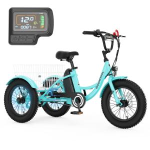 Mooncool 16" Electric Fat Tire Tricycle 250W