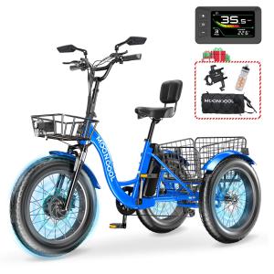 NAIZEA Electric Fat Tire Tricycle with Battery