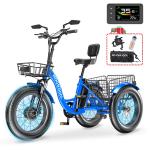 NAIZEA Electric Fat Tire Tricycle with Battery