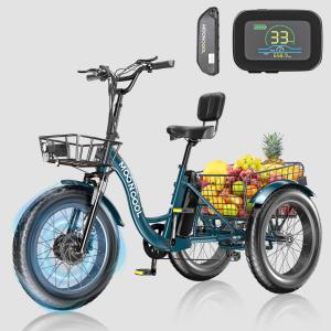 MOONCOOL 48V 750W Electric Tricycle for Adults