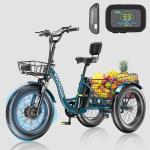 MOONCOOL 48V 750W Electric Tricycle for Adults