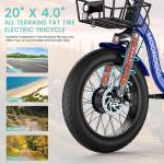 NAIZEA Electric Fat Tire Tricycle with Battery