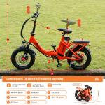 Peak 750W Folding Electric Bike with Suspension