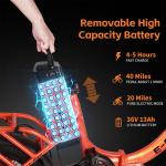 Peak 750W Folding Electric Bike with Suspension