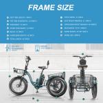 MOONCOOL 48V 750W Electric Tricycle for Adults