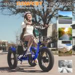 NAIZEA Electric Fat Tire Tricycle with Battery