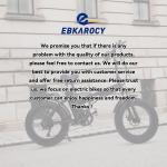 20" Folding Electric Fat Tire Bike - 750W