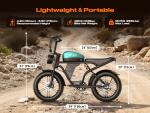 2000W Electric Fat Tire Mountain Bike for Adults