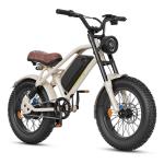 750W Fat Tire Electric Bike for All Terrain