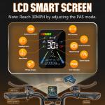 Adult Electric Mountain Bike, 20" Fat Tires