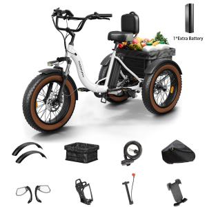 Adult Electric Tricycle with 20" Fat Tires