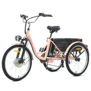 24" Electric Tricycle with Dual Battery and Basket