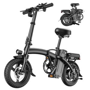 700W Folding Electric Bike for Adults and Teens