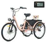 24" Electric Tricycle with Dual Battery and Basket