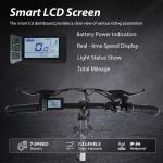 VARUN 20" Folding Electric Bike 750W City Commuter