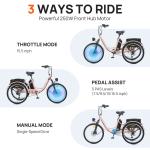 24" Electric Tricycle with Dual Battery and Basket