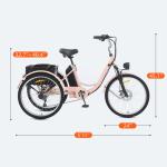 24" Electric Tricycle with Dual Battery and Basket
