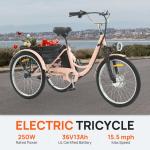 24" Electric Tricycle with Dual Battery and Basket