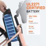 24" Electric Tricycle with Dual Battery and Basket