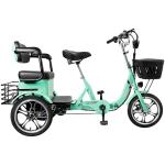 400W 48V Electric Folding Tricycle with Rear Seat