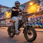 1500W Peak Electric Mountain Bike, 16" Fat Tires