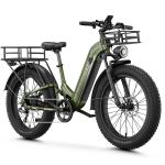 26'' 1800W Off-Road Electric Mountain Bike