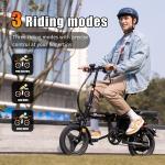 14" Folding Electric Bike with 1200W Motor