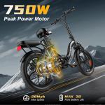 750W Folding Electric Bike with 30-Mile Range