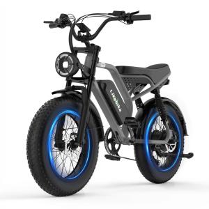Likebike 20" 1500W Electric Fat Tire Mountain Bike