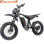 3000W Off-Road E-Mountain Bike 20" 37MPH