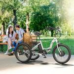 ANCHEER 350W Adult Electric Tricycle with Basket